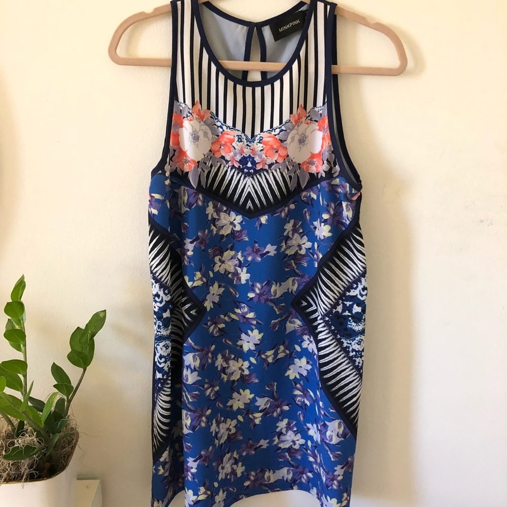 Mink Pink Dress!